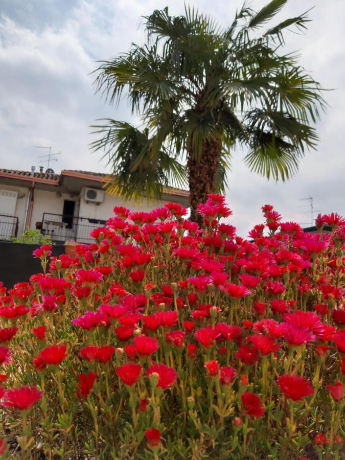 Villa Marianna Garda Lake Пескьера-дель-Гарда Номер фото